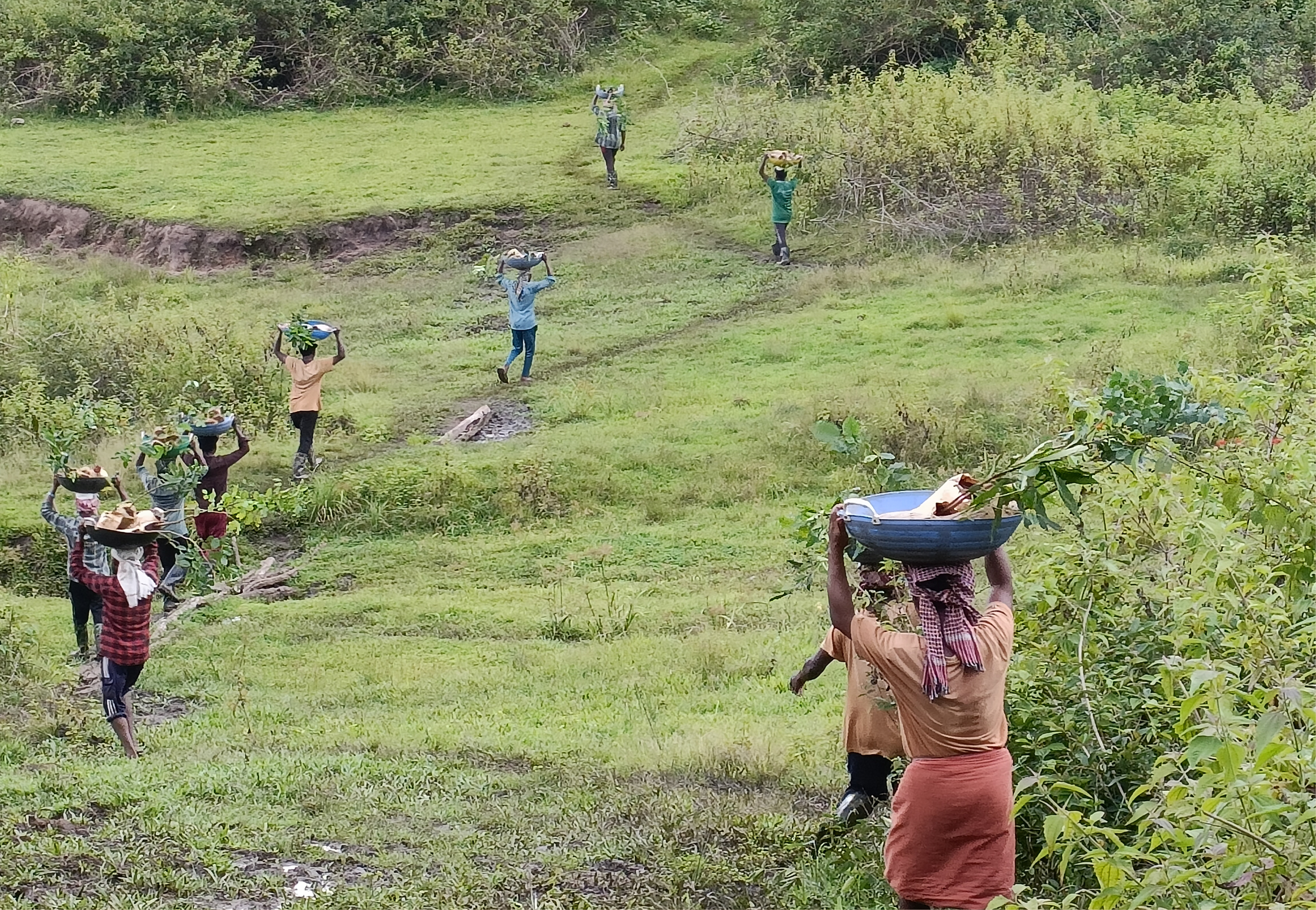 Wayanad, Kerala